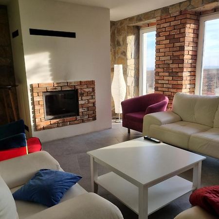 Mlynska 8 Opole-Gorki Villa Bagian luar foto