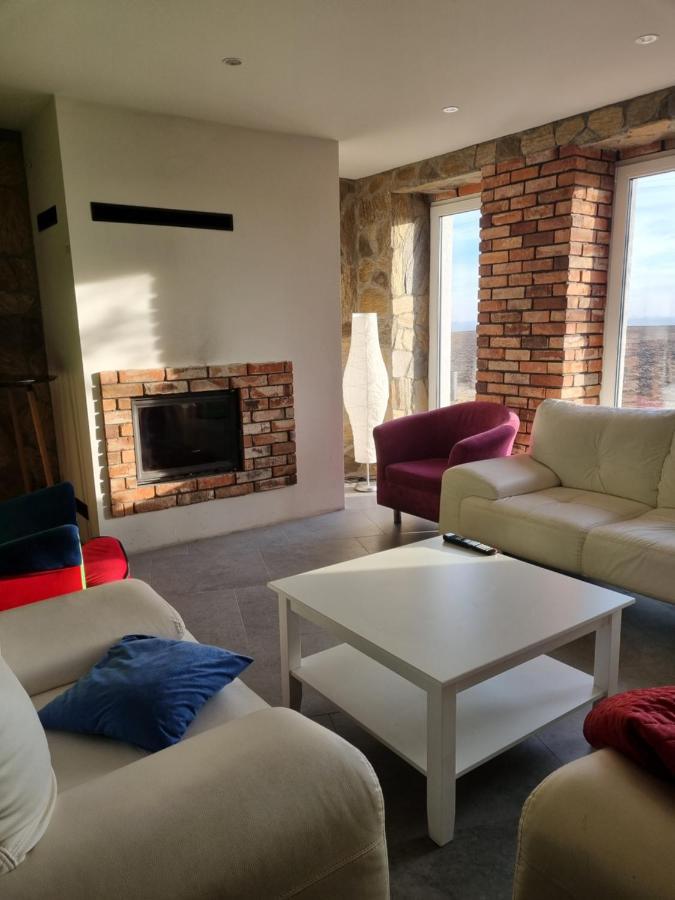 Mlynska 8 Opole-Gorki Villa Bagian luar foto