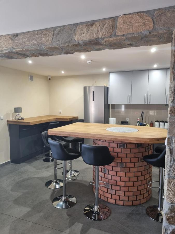 Mlynska 8 Opole-Gorki Villa Bagian luar foto